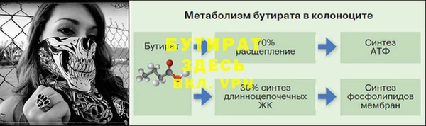 индика Гусь-Хрустальный